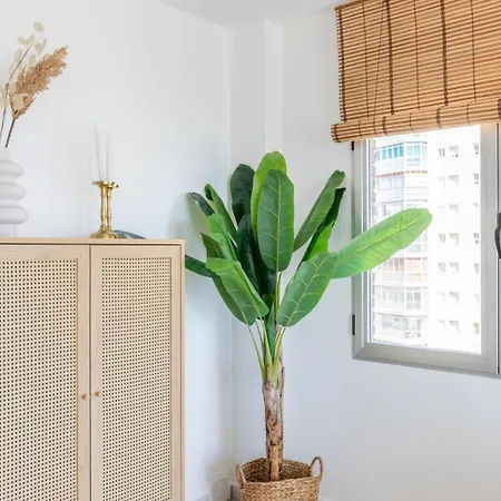 Lejlighed La Fossa Bay *